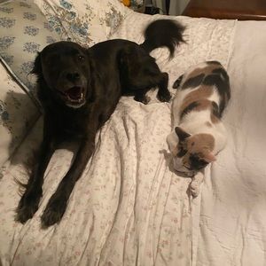 Meet your Posher, Ron